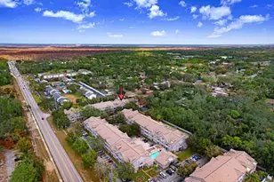 5031 Sunridge Palms Dr, Tampa, FL 33617 - Photo 17