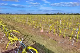 6018 NW County Road 661A, Arcadia, FL 34266 - Photo 95