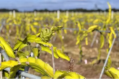 6018 NW County Road 661A, Arcadia, FL 34266 - Photo 97