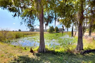 6018 NW County Road 661A, Arcadia, FL 34266 - Photo 71