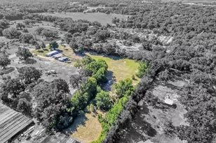 4162 Laughlin Rd, Mount Dora, FL 32757 - Photo 33