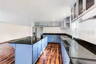 4162 Laughlin Rd, Mount Dora, FL 32757 - Photo 7