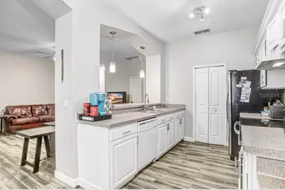 5032 Sunridge Palms Drive, Tampa, FL 33617 - Photo 7