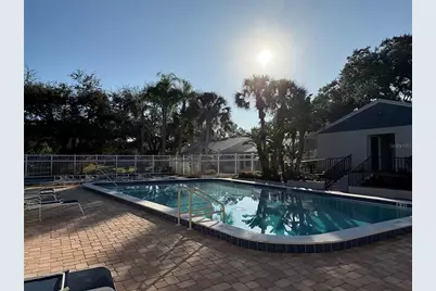 317 Plymouth Street, Safety Harbor, FL 34695 - Photo 9