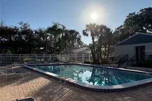 317 Plymouth St, Safety Harbor, FL 34695 - Photo 9