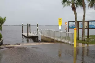 317 Plymouth St, Safety Harbor, FL 34695 - Photo 39