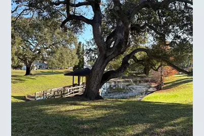 317 Plymouth Street, Safety Harbor, FL 34695 - Photo 13