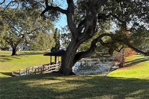 317 Plymouth St, Safety Harbor, FL 34695 - Photo 13