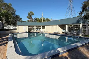 317 Plymouth St, Safety Harbor, FL 34695 - Photo 11