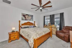 10824 Fanning Spgs Ct, Tampa, FL 33647 - Photo 23