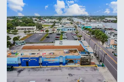 727 Locust Street, Tarpon Springs, FL 34689 - Photo 45