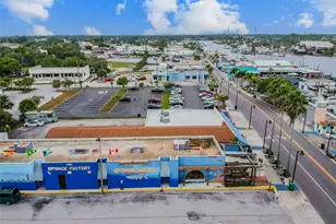 727 Locust St, Tarpon Springs, FL 34689 - Photo 45