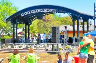 9 Forbes Pl, Dunedin, FL 34698 - Photo 59