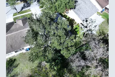 7517 Savannah Lane, Tampa, FL 33637 - Photo 73