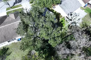 7517 Savannah Ln, Tampa, FL 33637 - Photo 73