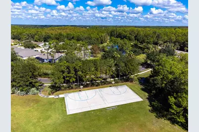 14526 Weeping Elm Drive, Tampa, FL 33626 - Photo 35