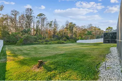 14526 Weeping Elm Drive, Tampa, FL 33626 - Photo 25