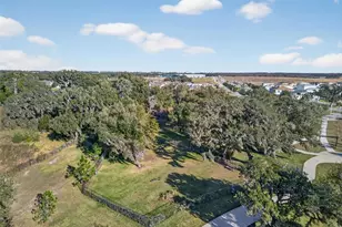 31854 Tansy Bnd, Wesley Chapel, FL 33545 - Photo 81