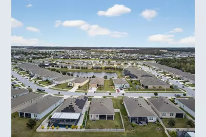 31854 Tansy Bend, Wesley Chapel, FL 33545 - Photo 59