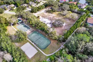 15001 Wind Whisper Dr, Odessa, FL 33556 - Photo 59