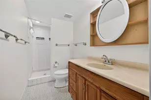 219 Palmetto Ct, Oldsmar, FL 34677 - Photo 19