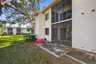 219 Palmetto Ct, Oldsmar, FL 34677 - Photo 23