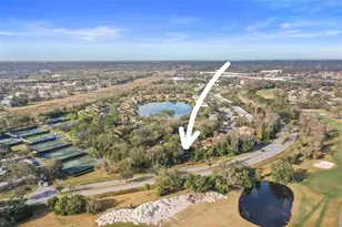113 Woodlake Wynde, Oldsmar, FL 34677 - Photo 47