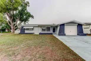 3735 Mynabird Dr, New Port Richey, FL 34652 - Photo 1