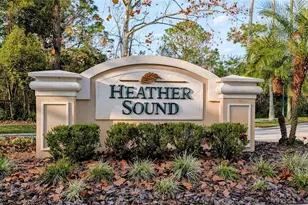 10128 Heather Sound Dr, Tampa, FL 33647 - Photo 11
