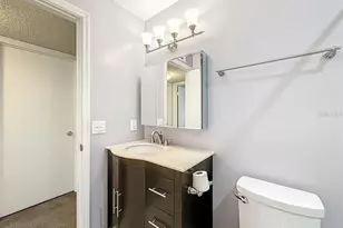 4325 Aegean Dr, Tampa, FL 33611 - Photo 19