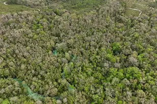 7505 Jomel Dr, Weeki Wachee, FL 34607 - Photo 35