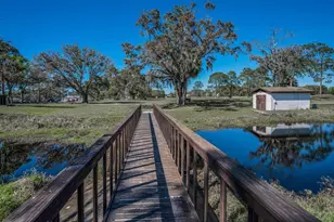 12154 Putter Green Ct, New Port Richey, FL 34654 - Photo 49