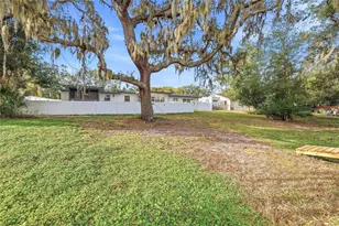 1005 Cedar Lake Dr, Tampa, FL 33612 - Photo 37