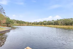 1005 Cedar Lake Dr, Tampa, FL 33612 - Photo 41
