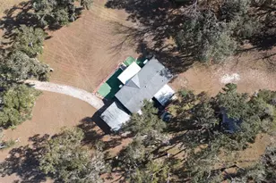 38710 Burger Ln, Dade City, FL 33523 - Photo 9