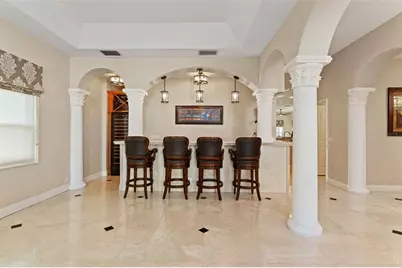 102 Adriatic Avenue, Tampa, FL 33606 - Photo 7