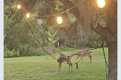 14832 Windigo Lane, Orlando, FL 32828 - Photo 53