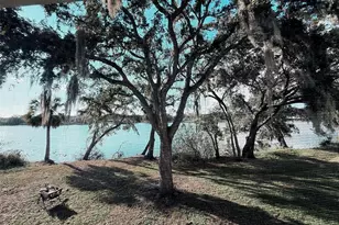 7218 E Bank Dr, Tampa, FL 33617 - Photo 15