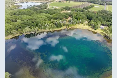 9906 Gunn Highway, Odessa, FL 33556 - Photo 21