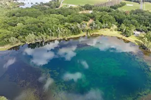 9906 Gunn Hwy, Odessa, FL 33556 - Photo 21