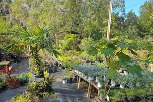 9906 Gunn Hwy, Odessa, FL 33556 - Photo 9