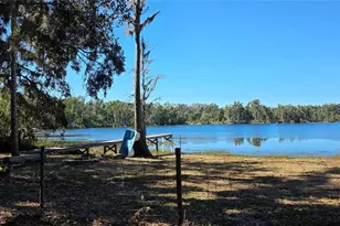 9906 Gunn Hwy, Odessa, FL 33556 - Photo 21