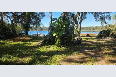 9906 Gunn Highway, Odessa, FL 33556 - Photo 17
