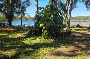 9906 Gunn Hwy, Odessa, FL 33556 - Photo 17