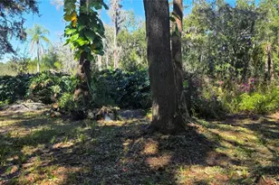 9906 Gunn Hwy, Odessa, FL 33556 - Photo 17