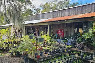 9906 Gunn Hwy, Odessa, FL 33556 - Photo 9