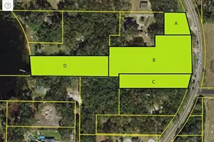 9906 Gunn Hwy, Odessa, FL 33556 - Photo 5