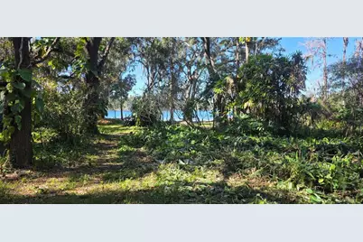 9906 Gunn Highway, Odessa, FL 33556 - Photo 15