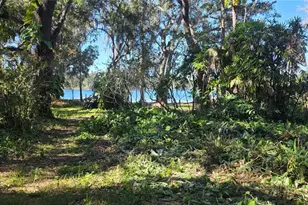 9906 Gunn Hwy, Odessa, FL 33556 - Photo 15