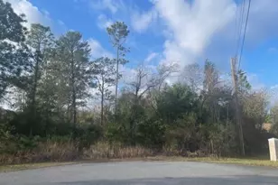 Phoebe Ct, Weeki Wachee, FL 34614 - Photo 1